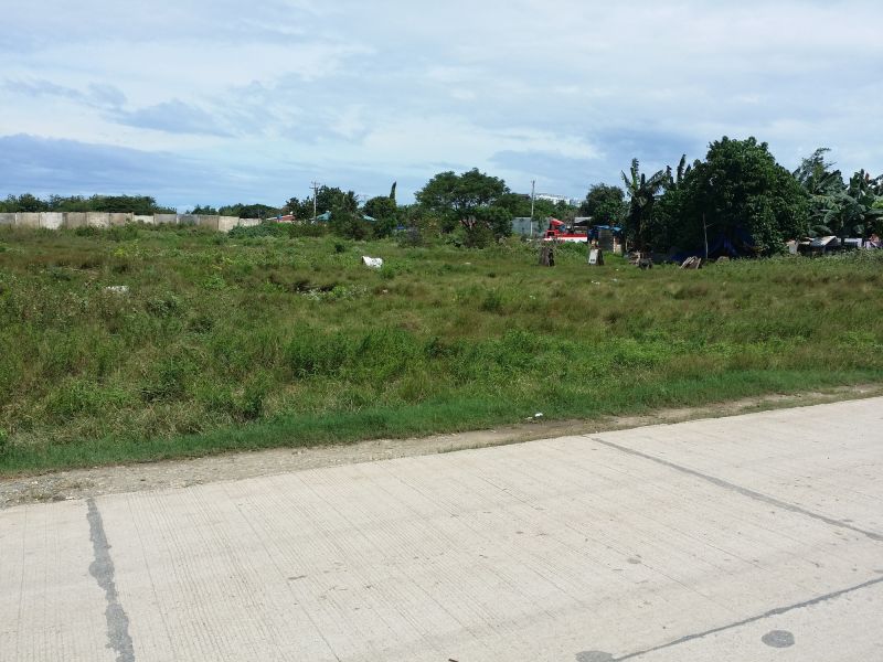 Before Land Clearing