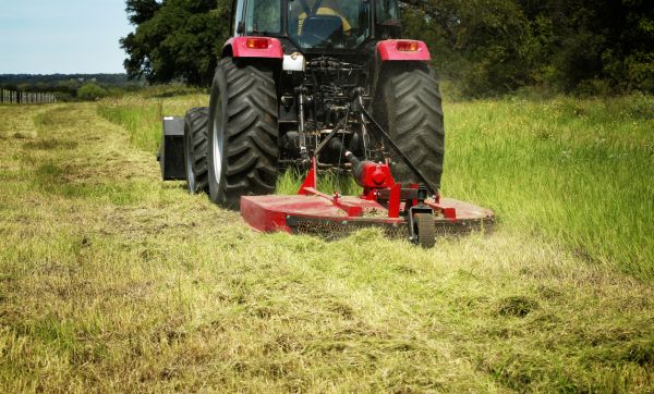 Brush Clearing Service in American Fork
