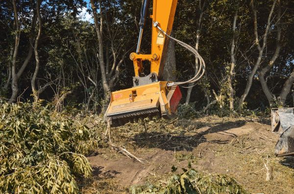 Brush Removal Service in American Fork
