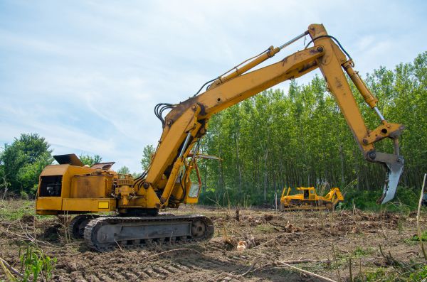 Farm Clearing in American Fork