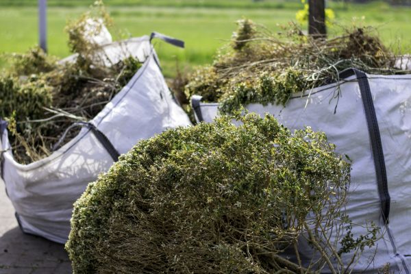 Bushes Clearing in American Fork