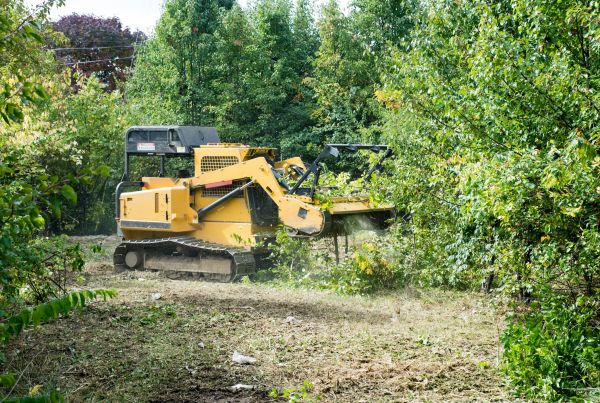 Pathway Clearing in American Fork
