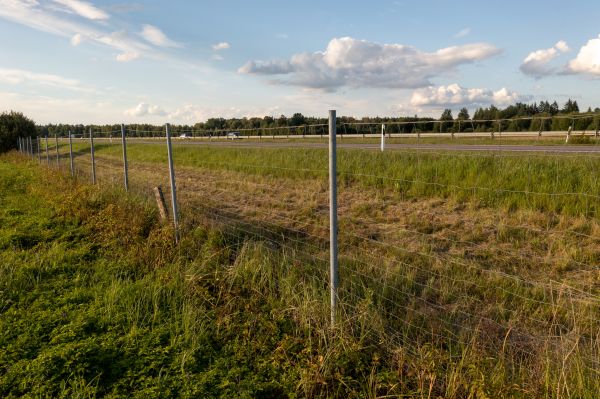 Property Line Clearing in American Fork