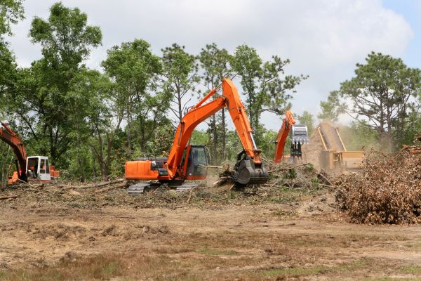 Commercial Lot Clearing in American Fork